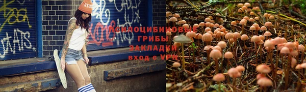 мет Заволжск